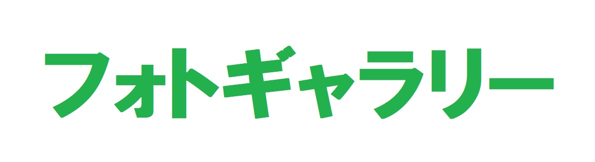 フォトギャラリー
