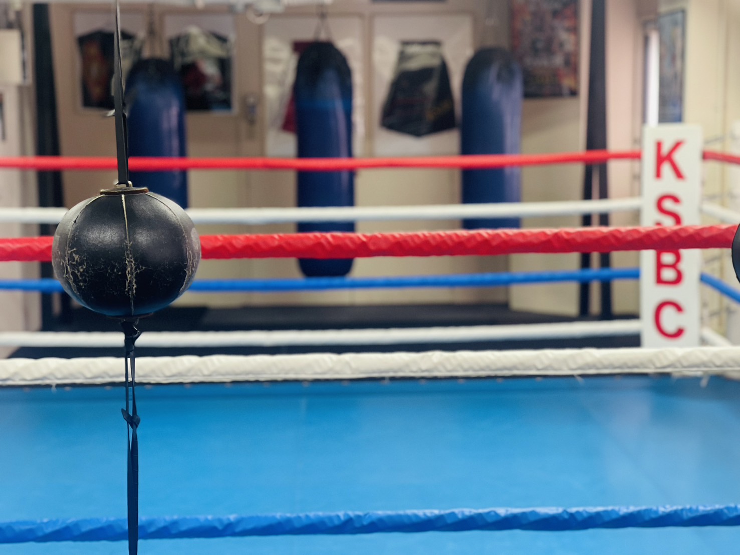 神戸スポーツボクシングクラブ【KSBC】
