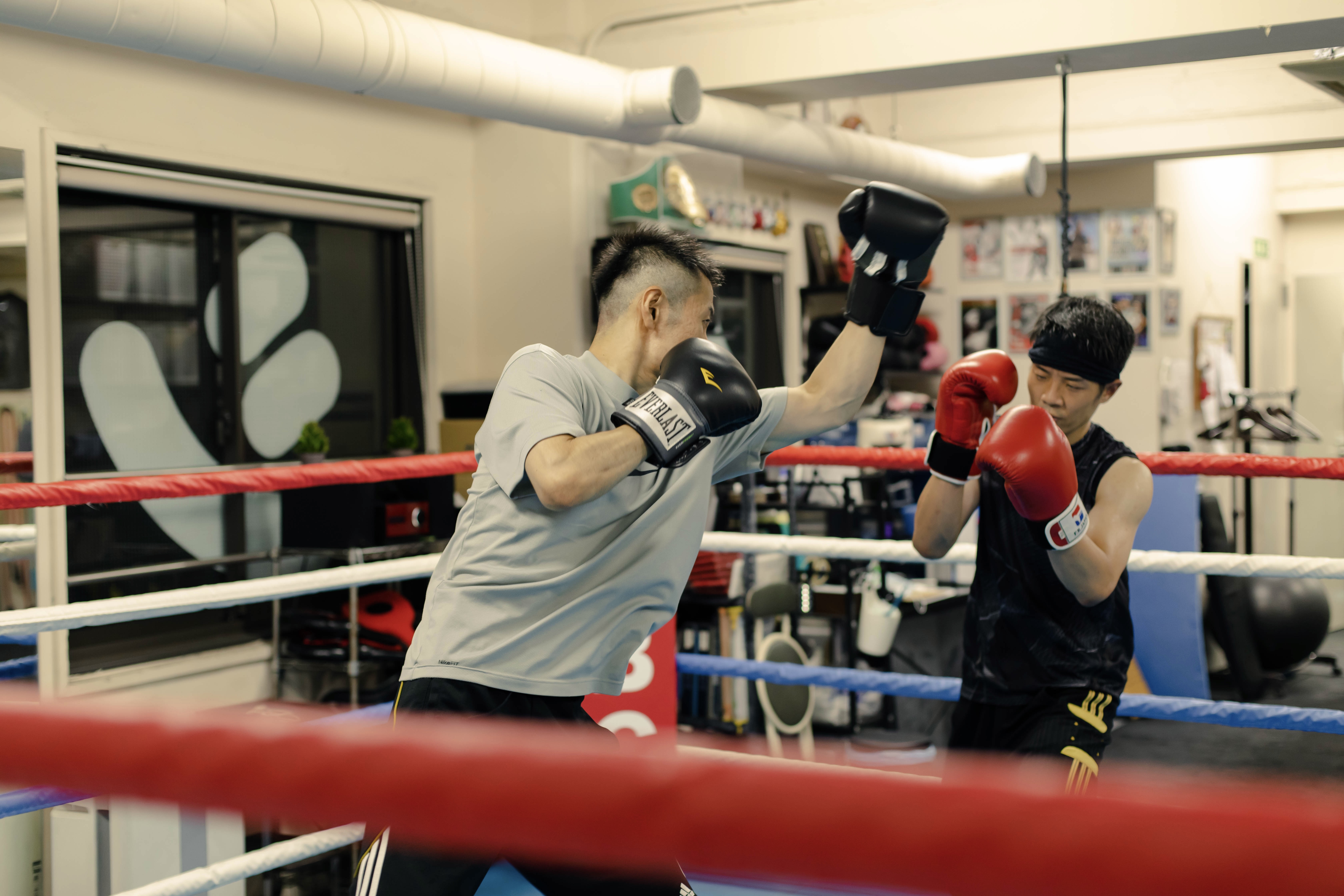 神戸スポーツボクシングクラブ【KSBC】